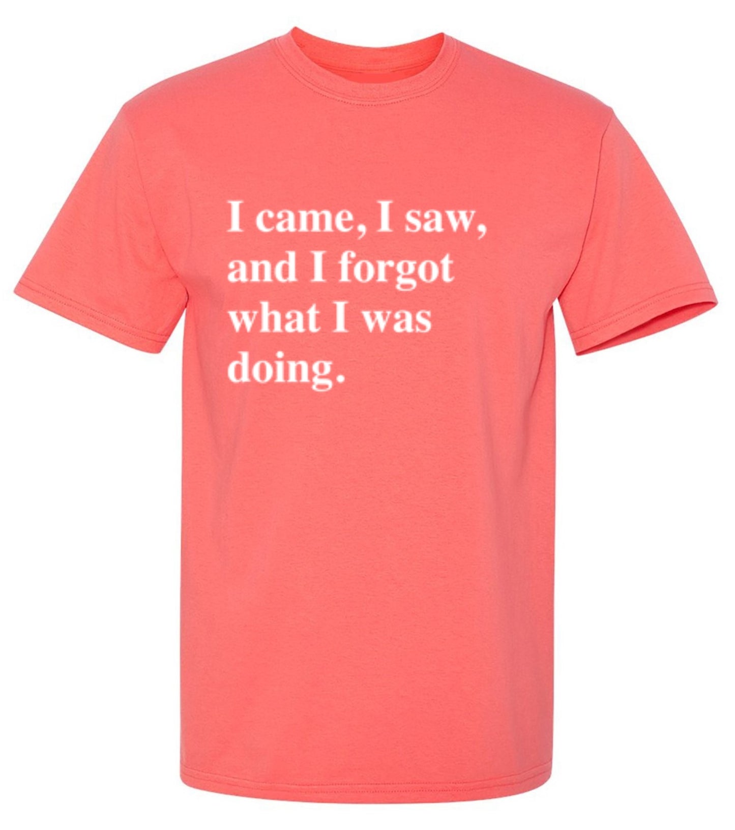 Funny T-Shirts design "I Came, I Saw, I Forgot What I Was Doing"