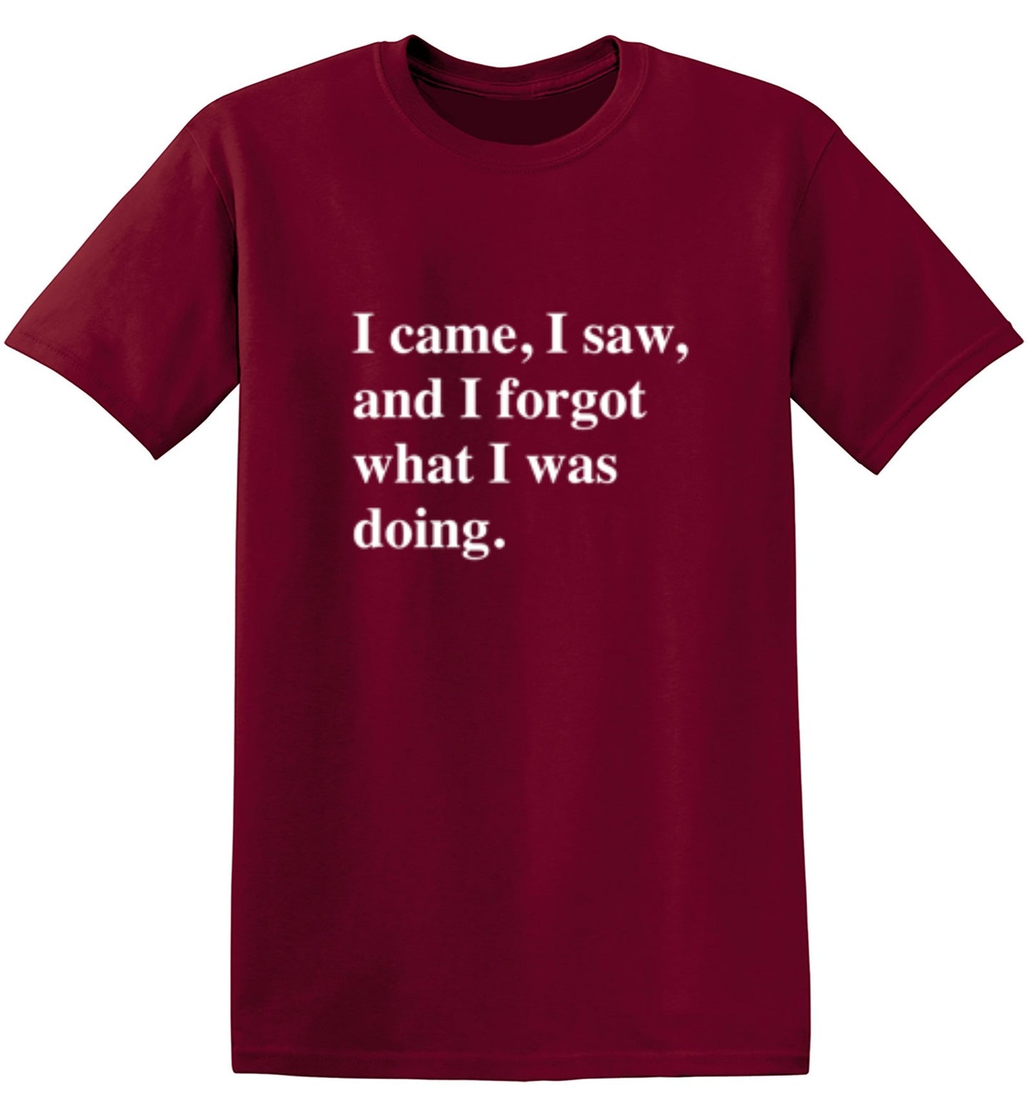 Funny T-Shirts design "I Came, I Saw, I Forgot What I Was Doing"