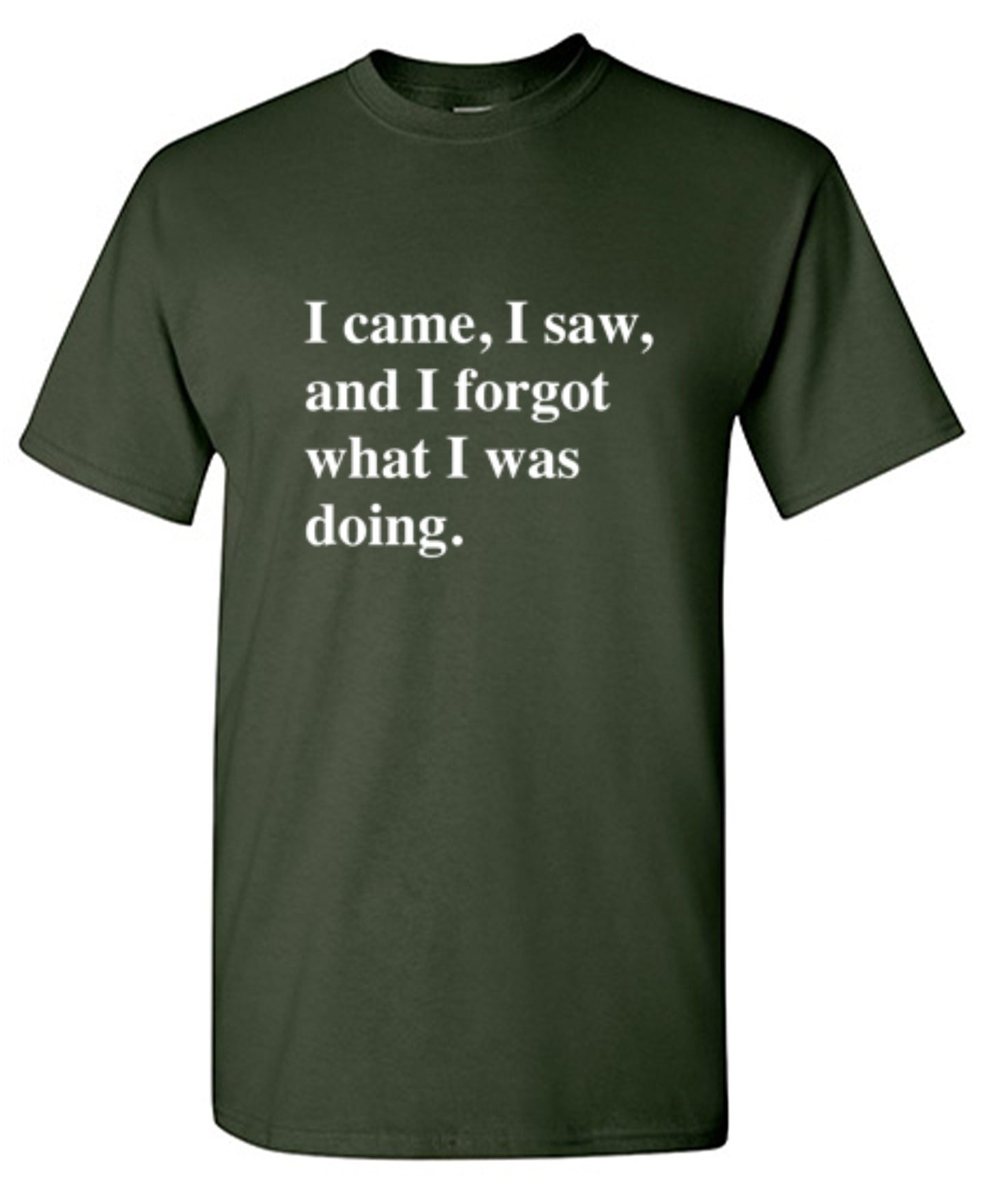 Funny T-Shirts design "I Came, I Saw, I Forgot What I Was Doing"