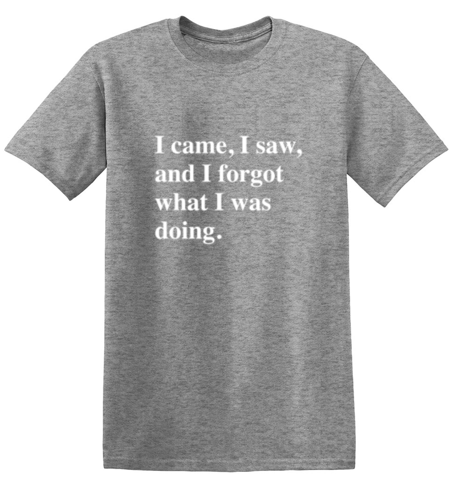 Funny T-Shirts design "I Came, I Saw, I Forgot What I Was Doing"