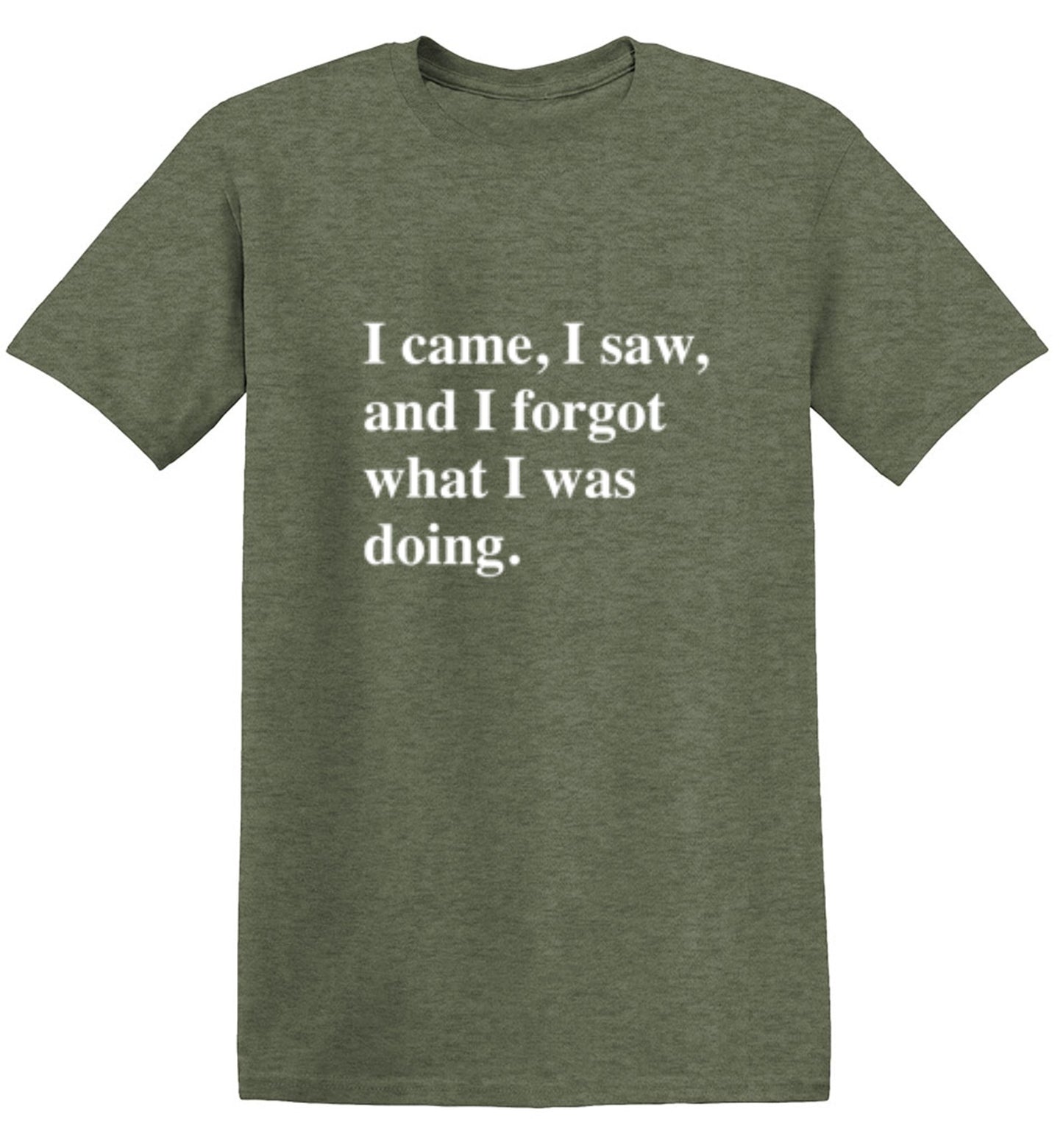 Funny T-Shirts design "I Came, I Saw, I Forgot What I Was Doing"