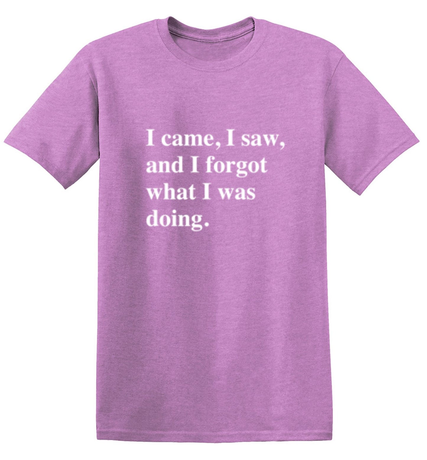 Funny T-Shirts design "I Came, I Saw, I Forgot What I Was Doing"