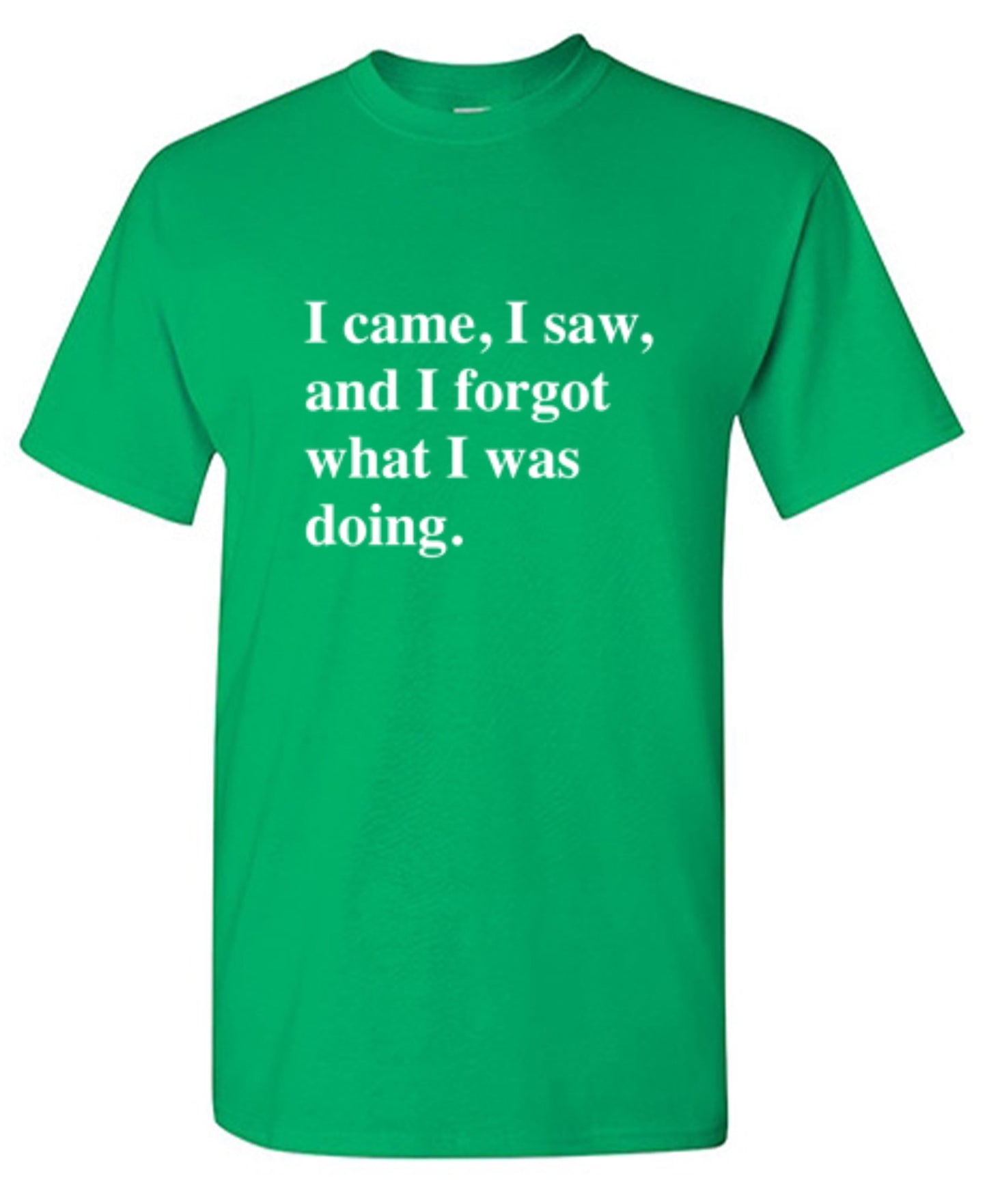 Funny T-Shirts design "I Came, I Saw, I Forgot What I Was Doing"