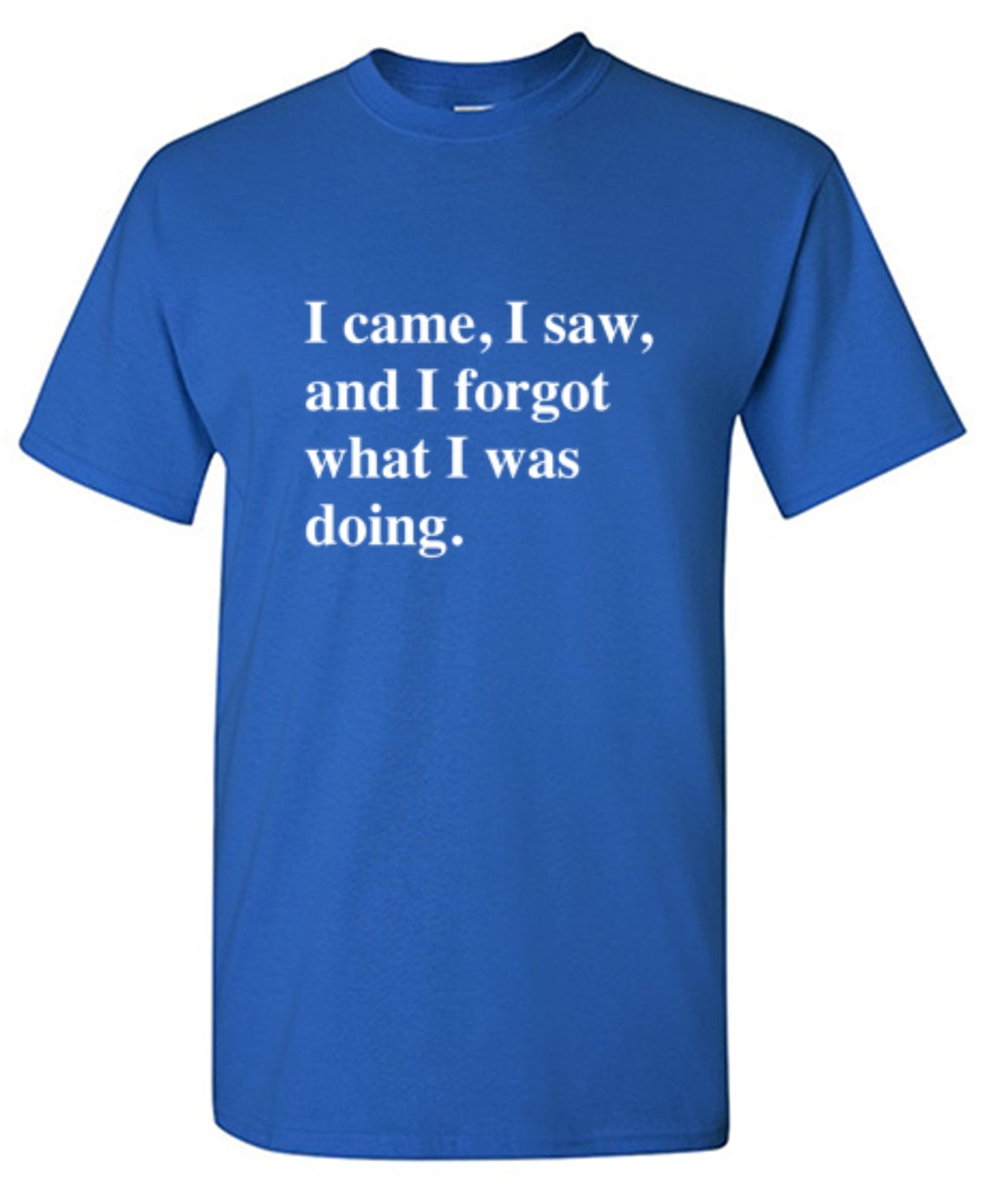 Funny T-Shirts design "I Came, I Saw, I Forgot What I Was Doing"