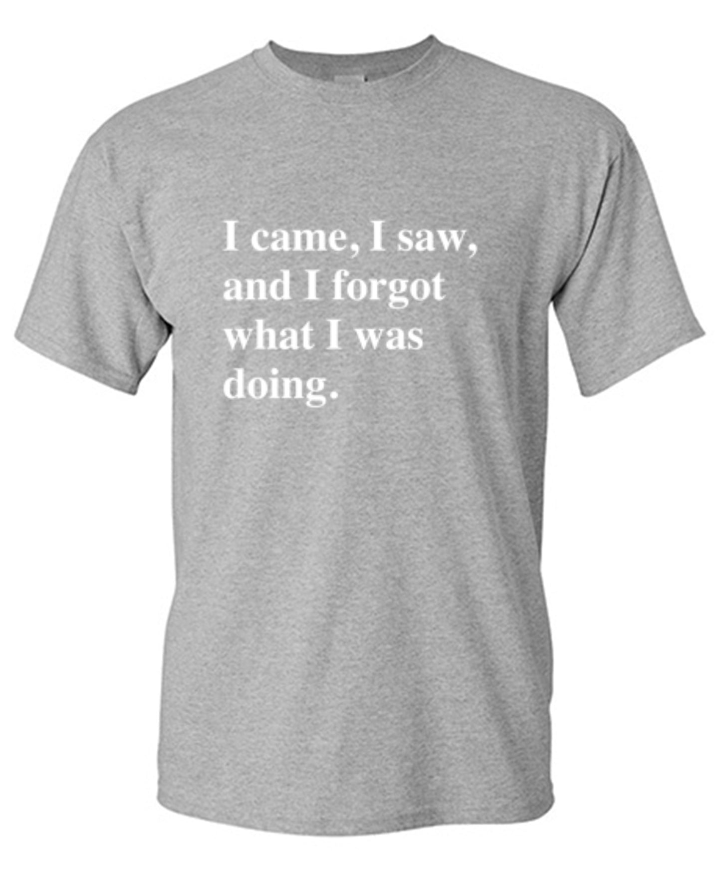 Funny T-Shirts design "I Came, I Saw, I Forgot What I Was Doing"