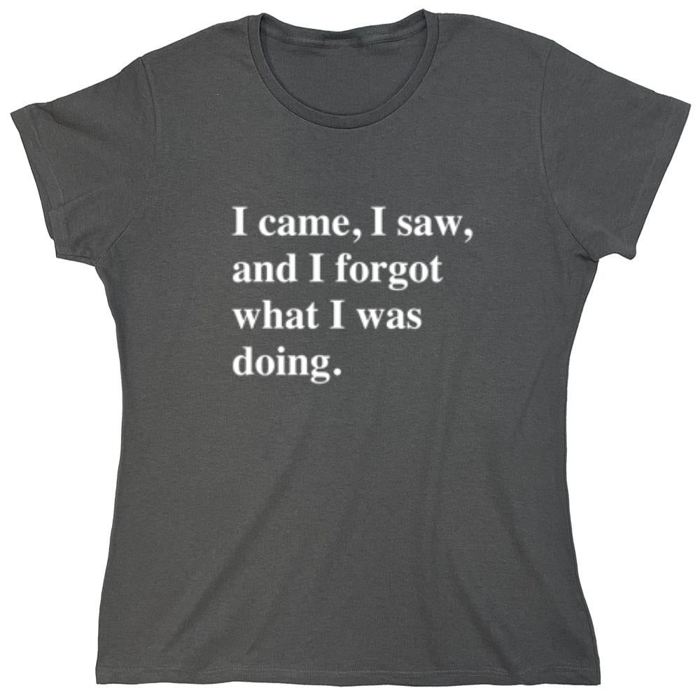 Funny T-Shirts design "I Came, I Saw, I Forgot What I Was Doing - Womens"