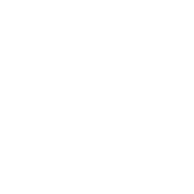 Funny T-Shirts design "I Came, I Saw, I Forgot What I Was Doing"
