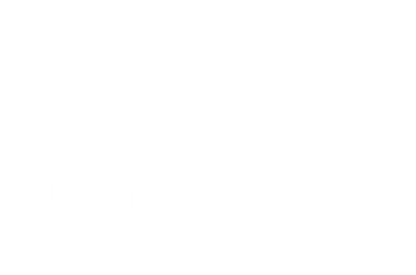 Stupidity Isn't A Crime T-Shirt