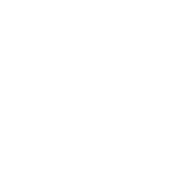 Funny T-Shirts design "Snowflake"