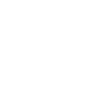 Irish AF - Roadkill T-Shirts