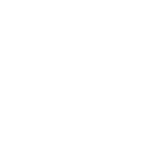 Funny T-Shirts design "Smoke Weed Everyday"