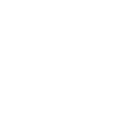 Bob McGroin - Roadkill T-Shirts