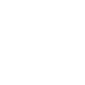 Funny T-Shirts design "My Mom Didn't Raise A Dummy, And If She Did It Was My Brother T-Shirt"