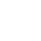 Funny T-Shirts design "My Mom Didn't Raise A Dummy, And If She Did It Was My Sister T-Shirt"