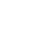 Funny T-Shirts design "I Survived The Coronavirus 2020"