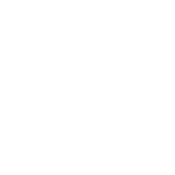 Funny T-Shirts design "I say bad words a Lot"