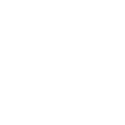 I Probably Like Your Dog Better - Roadkill T-Shirts