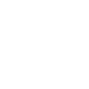 Funny T-Shirts design "I Don't Trip I Do Random Gravity Checks"