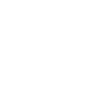 Funny T-Shirts design "Dad Joke Champion"