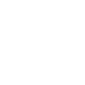 Funny T-Shirts design "Don't Be A Dumb Bass"
