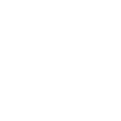 Funny T-Shirts design "WTF - Where's The Fish T-Shirt"