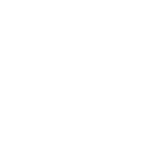 Funny T-Shirts design "Shake Your Shamrocks T-Shirts"