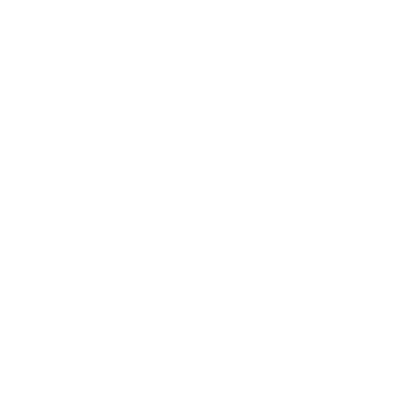 Funny T-Shirts design "GEMINI T-Shirt"