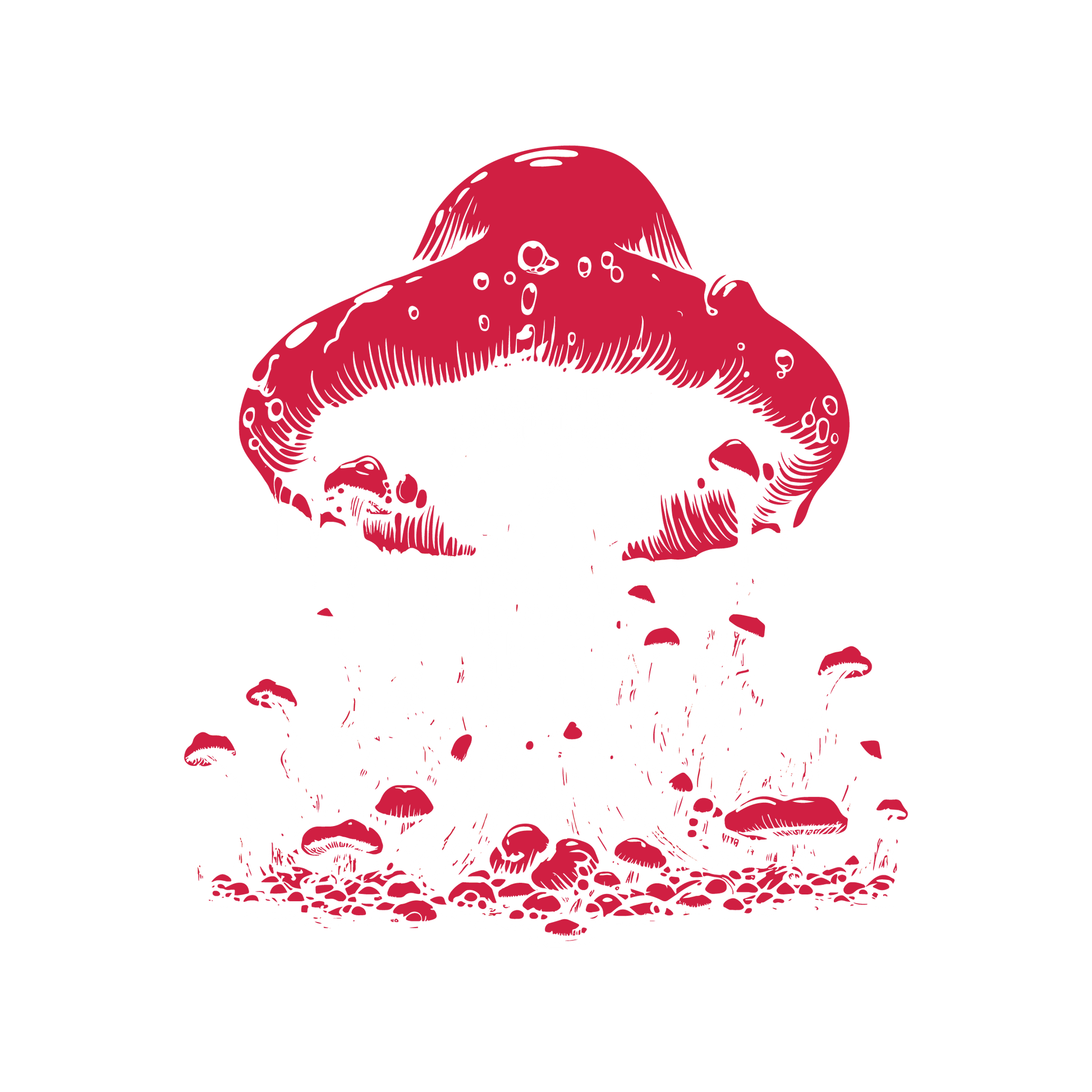 Funny T-Shirts design "Schroom Skull T Shirt"