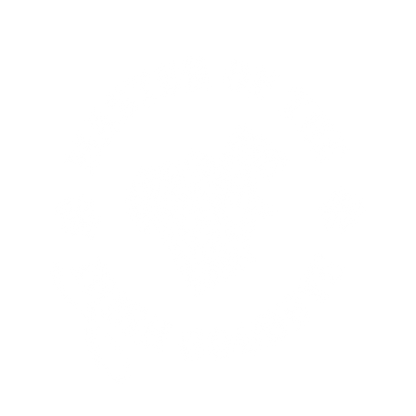Funny T-Shirts design "Master of the Irish Goodbye T-Shirt"