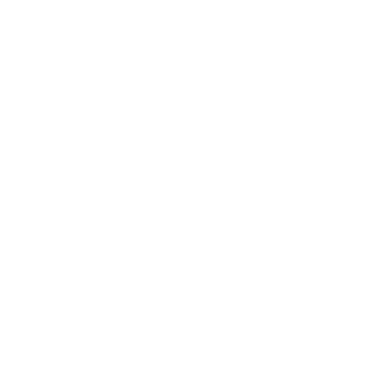 Funny T-Shirts design "Seal of Disapproval T Shirt"