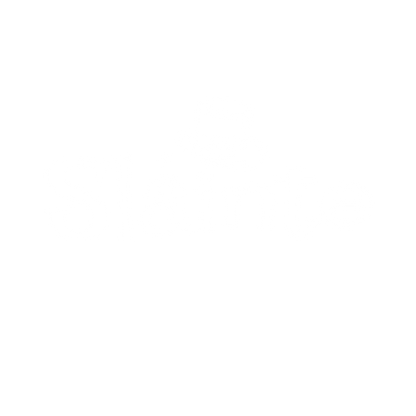 Funny T-Shirts design "Slainte T-Shirt"