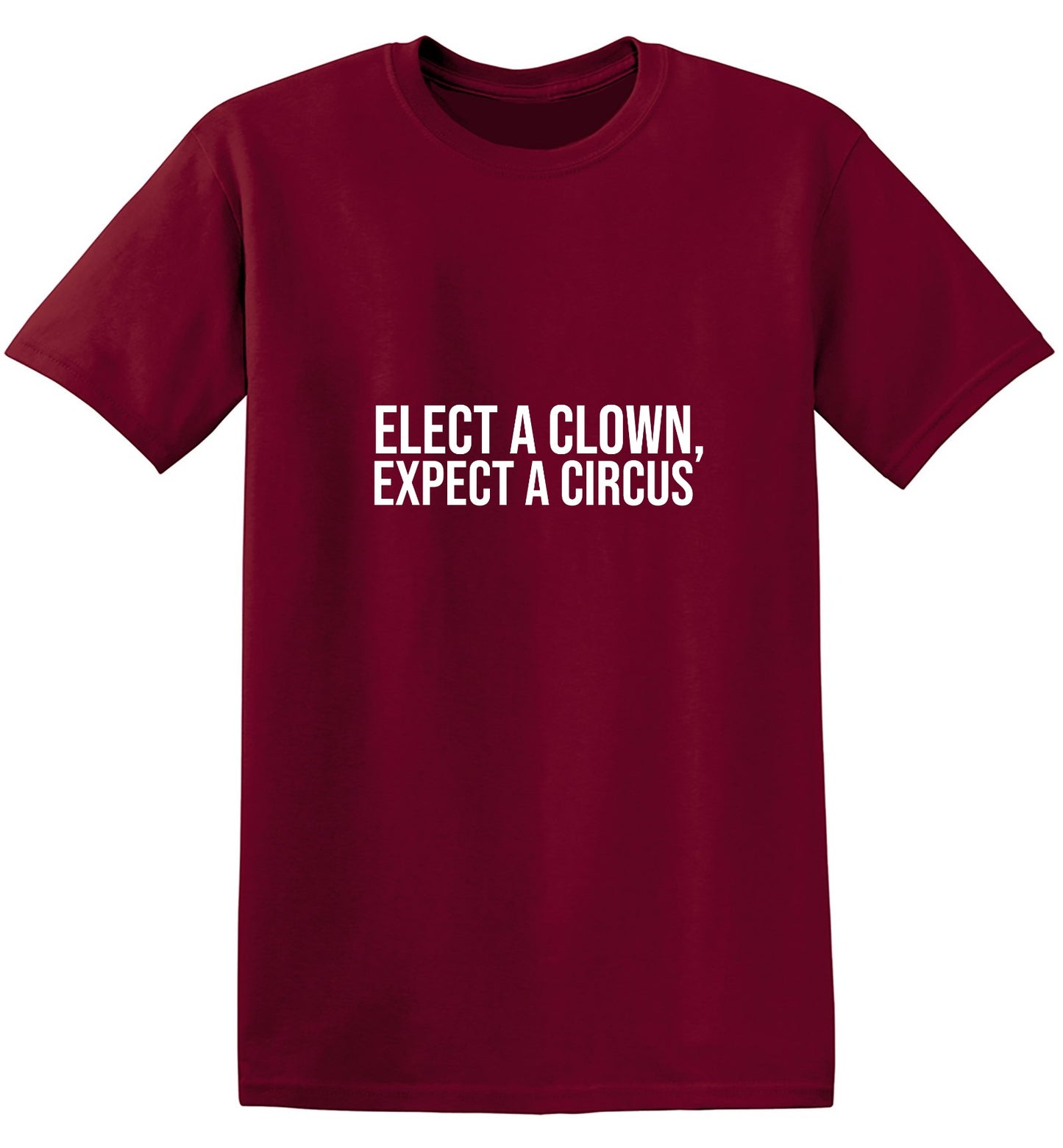 Funny T-Shirts design "Elect A Clown, Expect A Circus T-Shirt"
