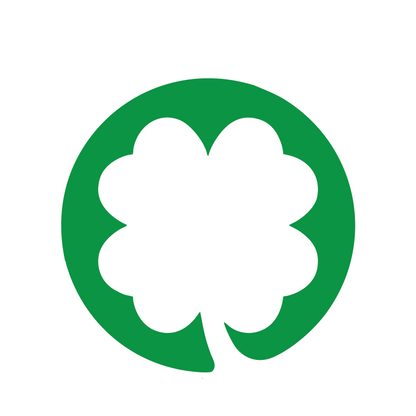 Funny T-Shirts design "You Need Some Irish In You T Shirt"
