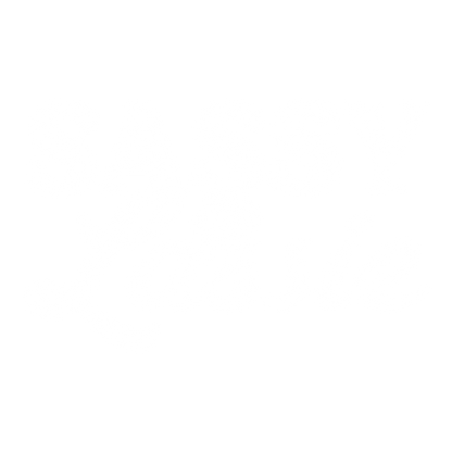 Funny T-Shirts design "Sassie Lassie Shirt"
