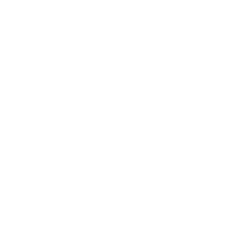 Arkansas Est. 1836 T-Shirt