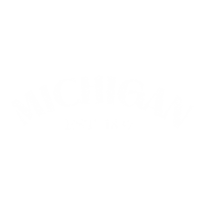 Funny T-Shirts design "Michigan Est. 1837 T-Shirt"