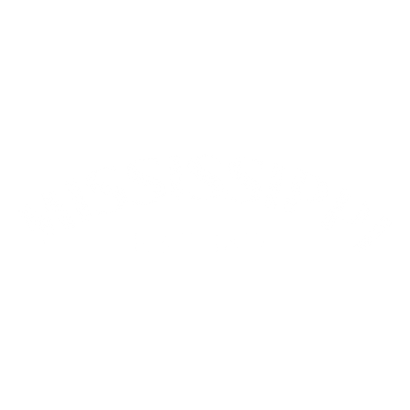 Funny T-Shirts design "Mississippi Est. 1817 T-Shirt"