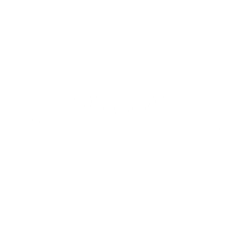 Funny T-Shirts design "Montana Est. 1889 T-Shirt"
