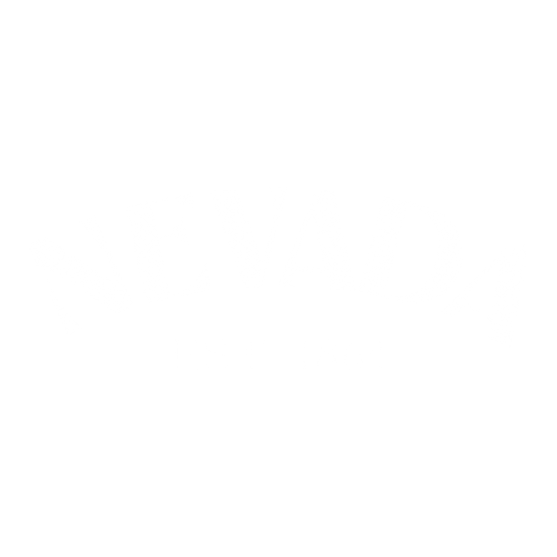 Funny T-Shirts design "Nevada Est. 1864 T-Shirt"