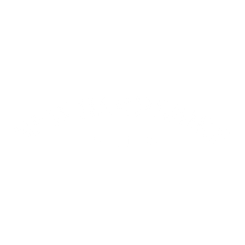 Funny T-Shirts design "New Hampshire Est. 1788 T-Shirt"