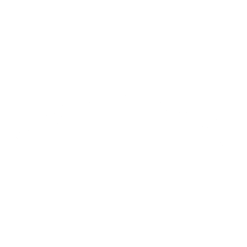 Funny T-Shirts design "North Carolina Est. 1789 T-Shirt"