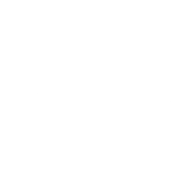 Funny T-Shirts design "Tennessee Est. 1796 T-Shirt"