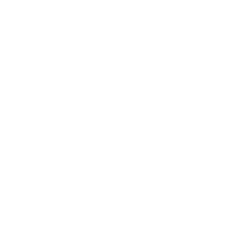 Vermont Est. 1791 T-Shirt