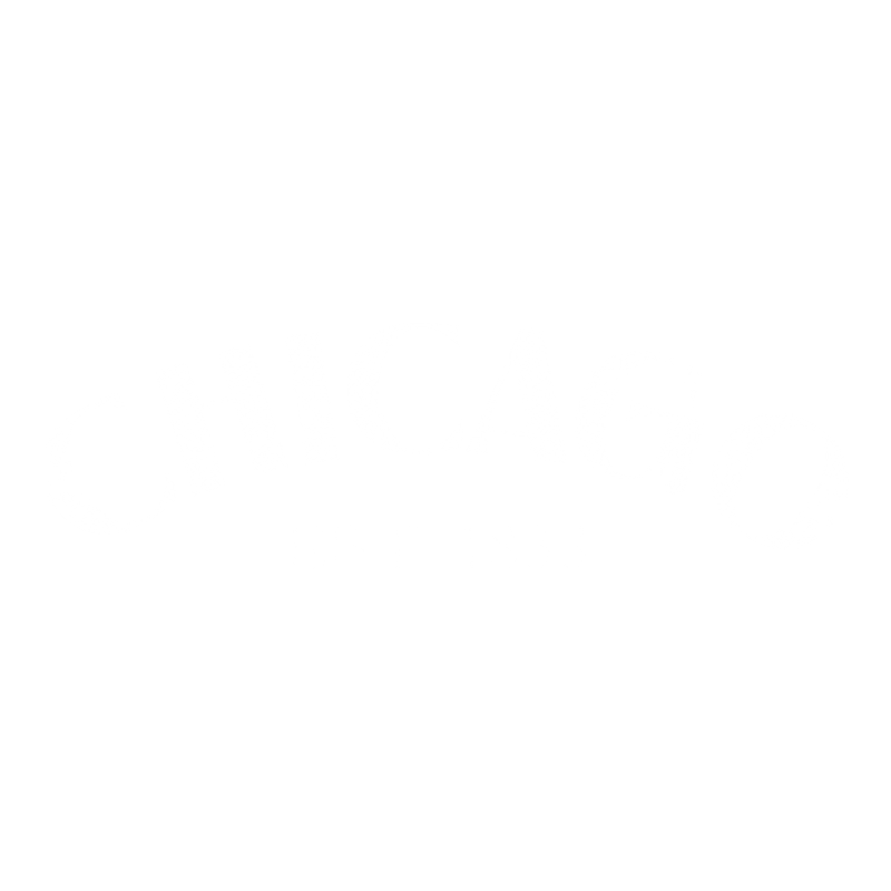Funny T-Shirts design "Chicago Est. 1833 T-Shirt"