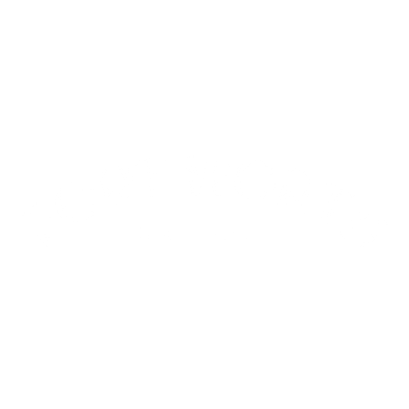 Fort Worth Est. 1849 T-Shirt