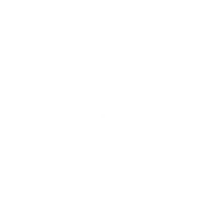 Funny T-Shirts design "University of Napping T-Shirt"
