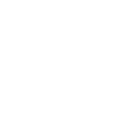 The Voices In My Head Have Great Ideas