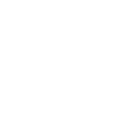 Yes, I saw The Speed Limit Officer