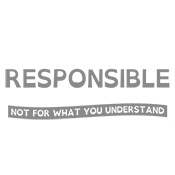 I'm Only Responsible For What I Say, Not For What You Understand - Roadkill T Shirts