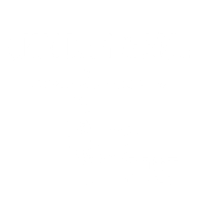 Funny T-Shirts design "Chicken Game"